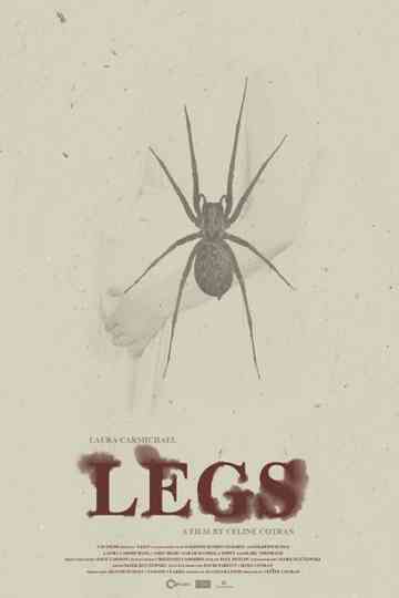 Legs Poster