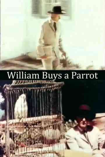 William Buys a Parrot Poster