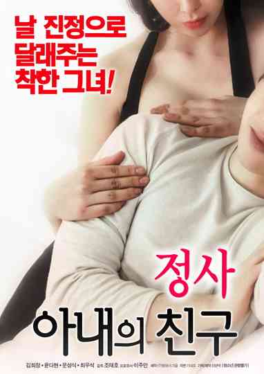 An Affair: My Wife's Friend Poster