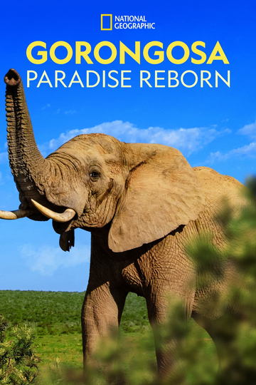 Gorongosa: Paradise Reborn Poster