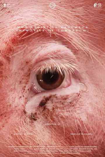 Memories of Tomorrow Poster