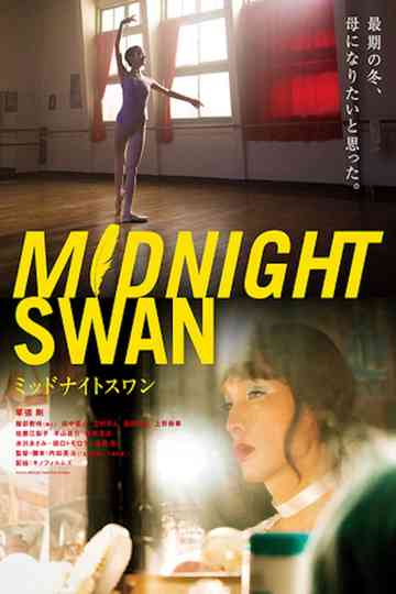 Midnight Swan Poster