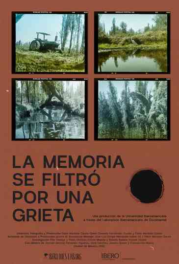 La memoria se filtró por una grieta Poster