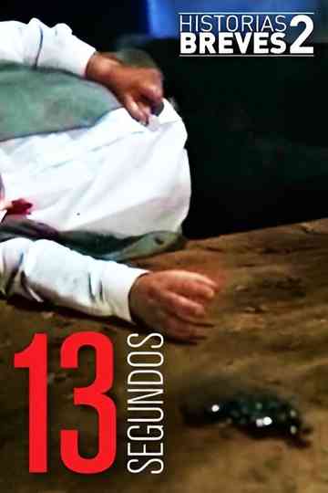 Historias Breves II: Trece Segundos Poster