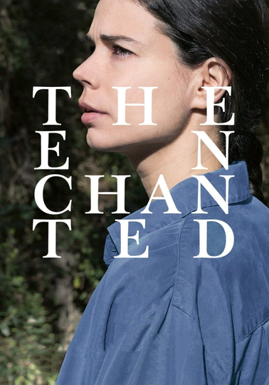 The Enchanted Poster