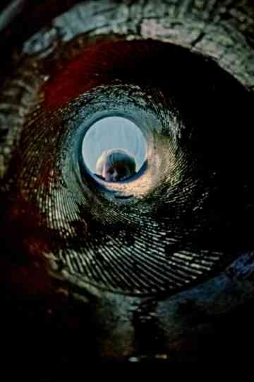 Ab urbe condita Poster