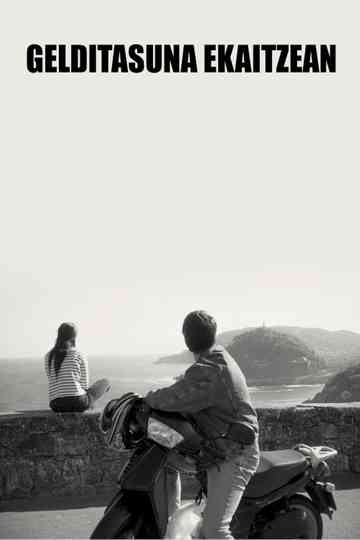 Stillness in the Storm Poster