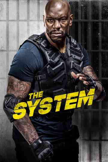 The System poster