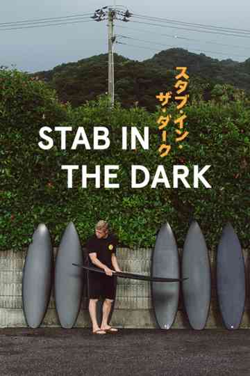 Stab in the Dark Poster