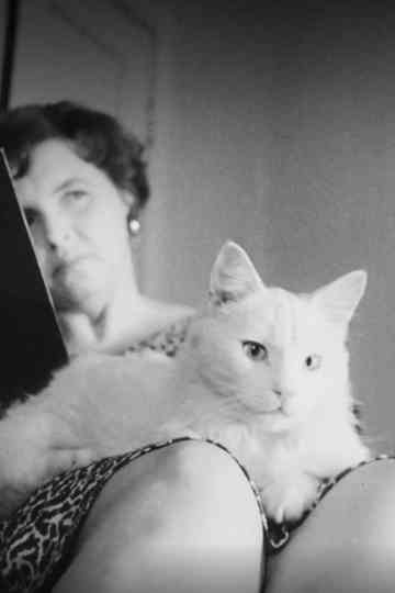 Sõnadeta lugu Poster