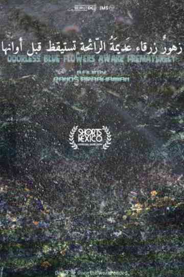 Odorless Blue Flowers Awake Prematurely Poster