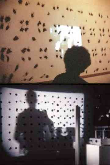 Finch Project Poster