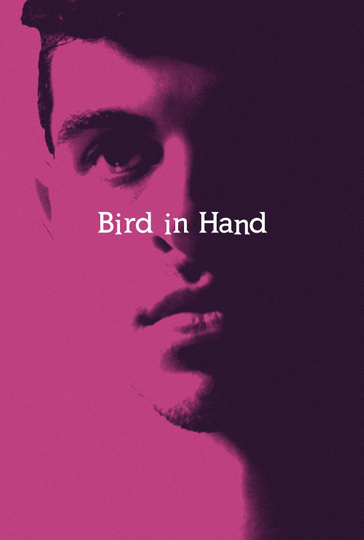 Bird in Hand Poster