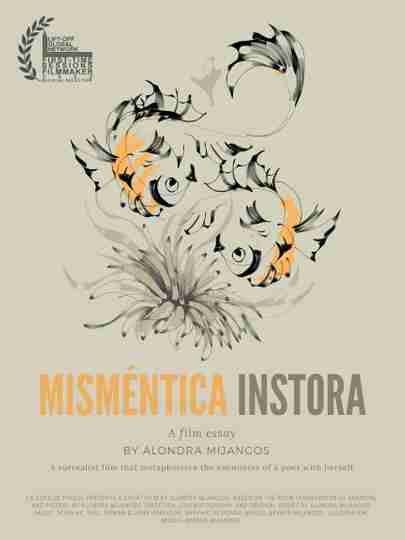 The palindrome woman Poster