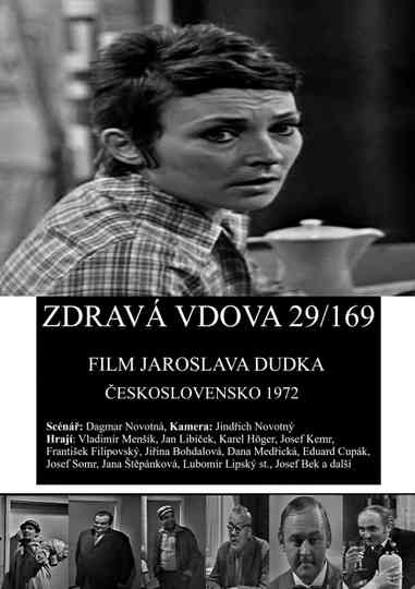 Zdravá vdova 29/169 Poster