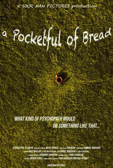 A Pocketful of Bread Poster