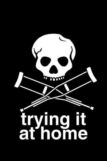 Trying It At Home Poster
