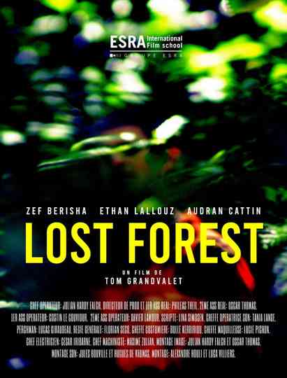 Lost Forest Poster