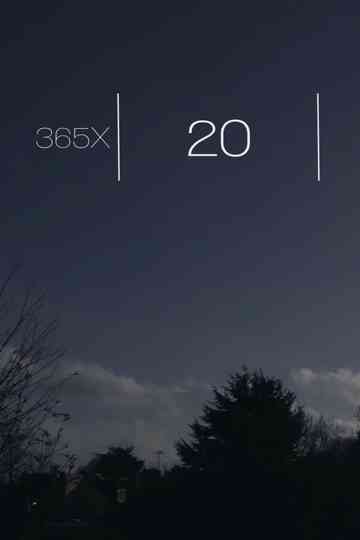 365x : 20 Poster