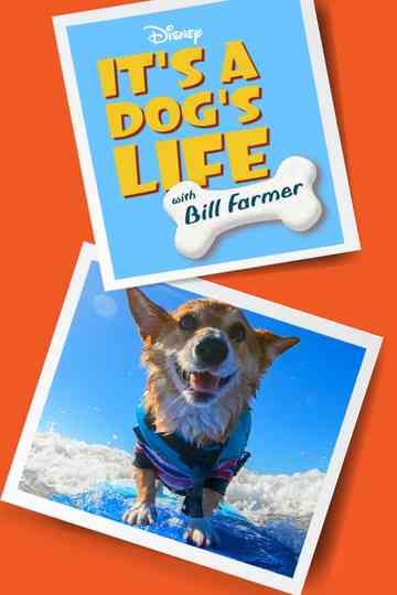It's a Dog's Life with Bill Farmer poster