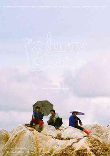 The Blurry Braids Poster