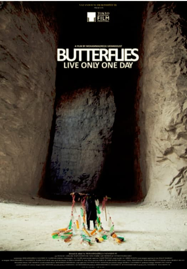 Butterflies Live Only One Day Poster