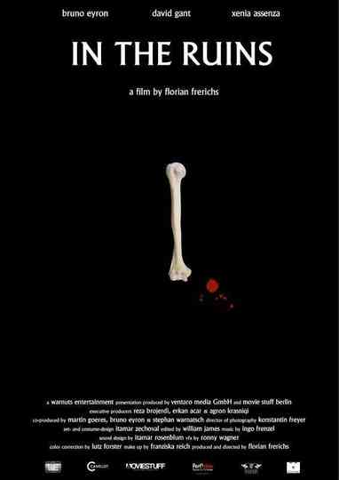 In the Ruins Poster