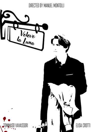 Volevo la Luna poster