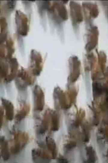 Every Third Bite Poster