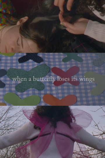 When A Butterfly Loses Its Wings Poster