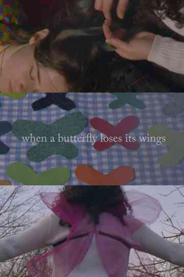 When A Butterfly Loses Its Wings Poster