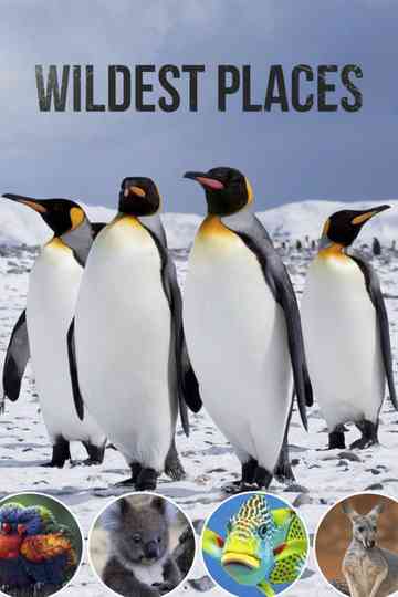 Wildest Places Poster