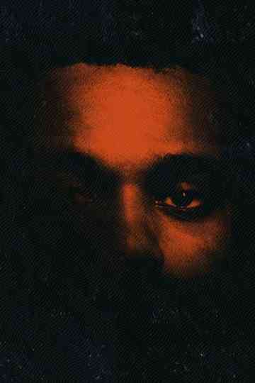 He Was Never There, Docupoem Poster