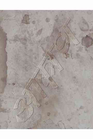 Sheena Ringo and the Others: Air Pocket Poster