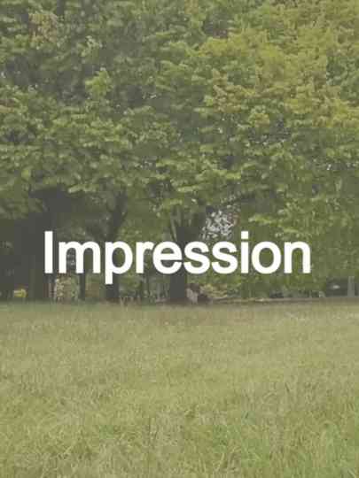Impression