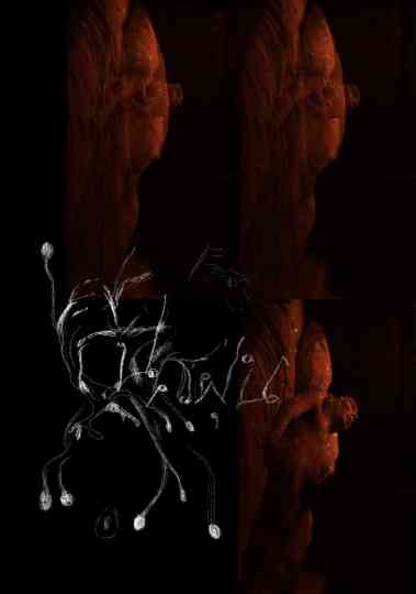 The Sound of Devouring Dust Poster