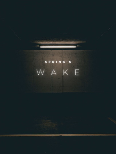 Spring's Wake