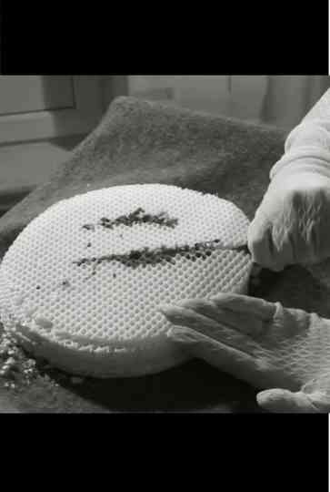 Fintikova on Meat Poster