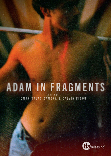 Adam in Fragments Poster