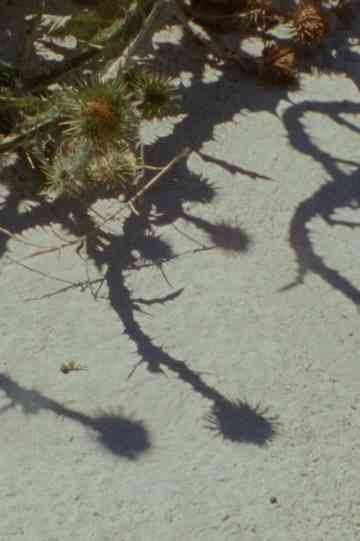 Subir e sumir Poster