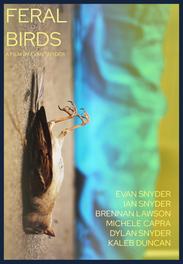 Feral Birds Poster