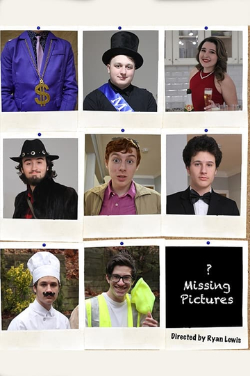 Missing Pictures Poster