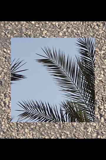 Not All Things that Shine Are Beautiful Poster