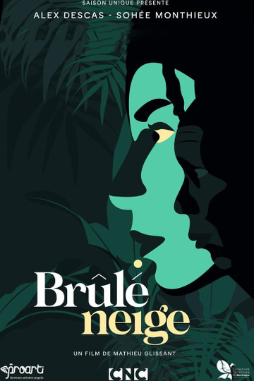 Brûlé neige Poster