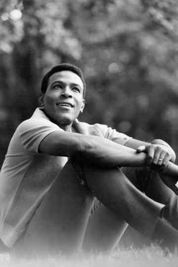 Marvin Gaye Whats Going On Poster