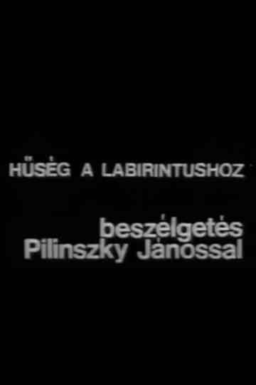 Hűség a labirintushoz – Beszélgetés Pilinszky Jánossal Poster