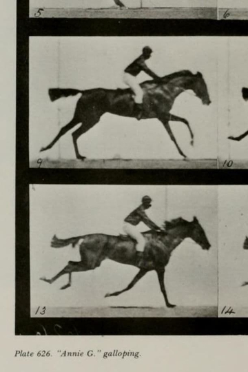 Annie G. Galloping