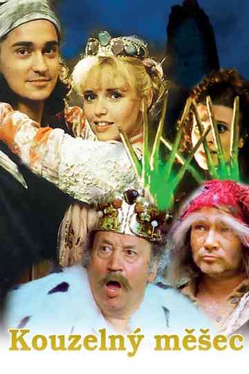 The Magic Book Poster