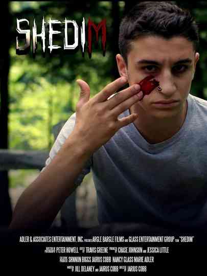 Shedim poster