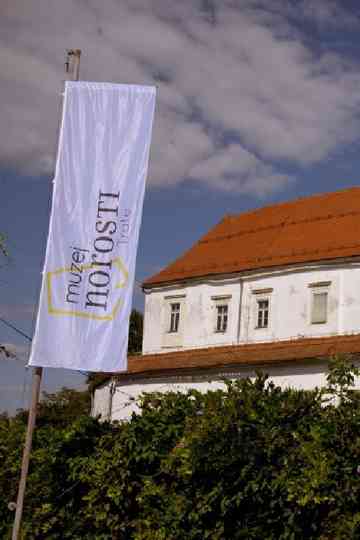 Museum of Madness Poster